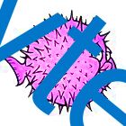 megabytes of